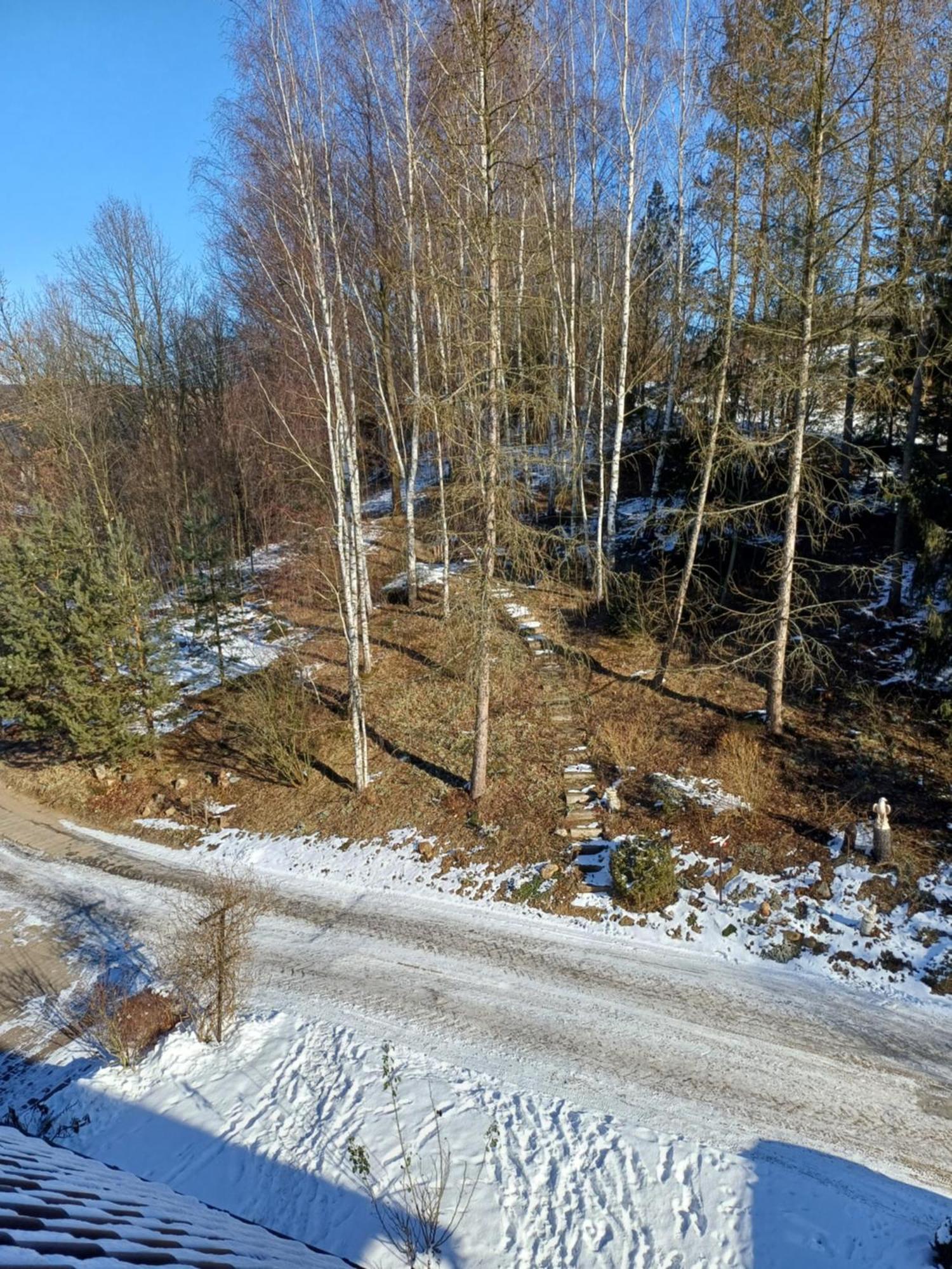 Agroturystyka Brzozowe Wzgórze Wlen Exterior foto